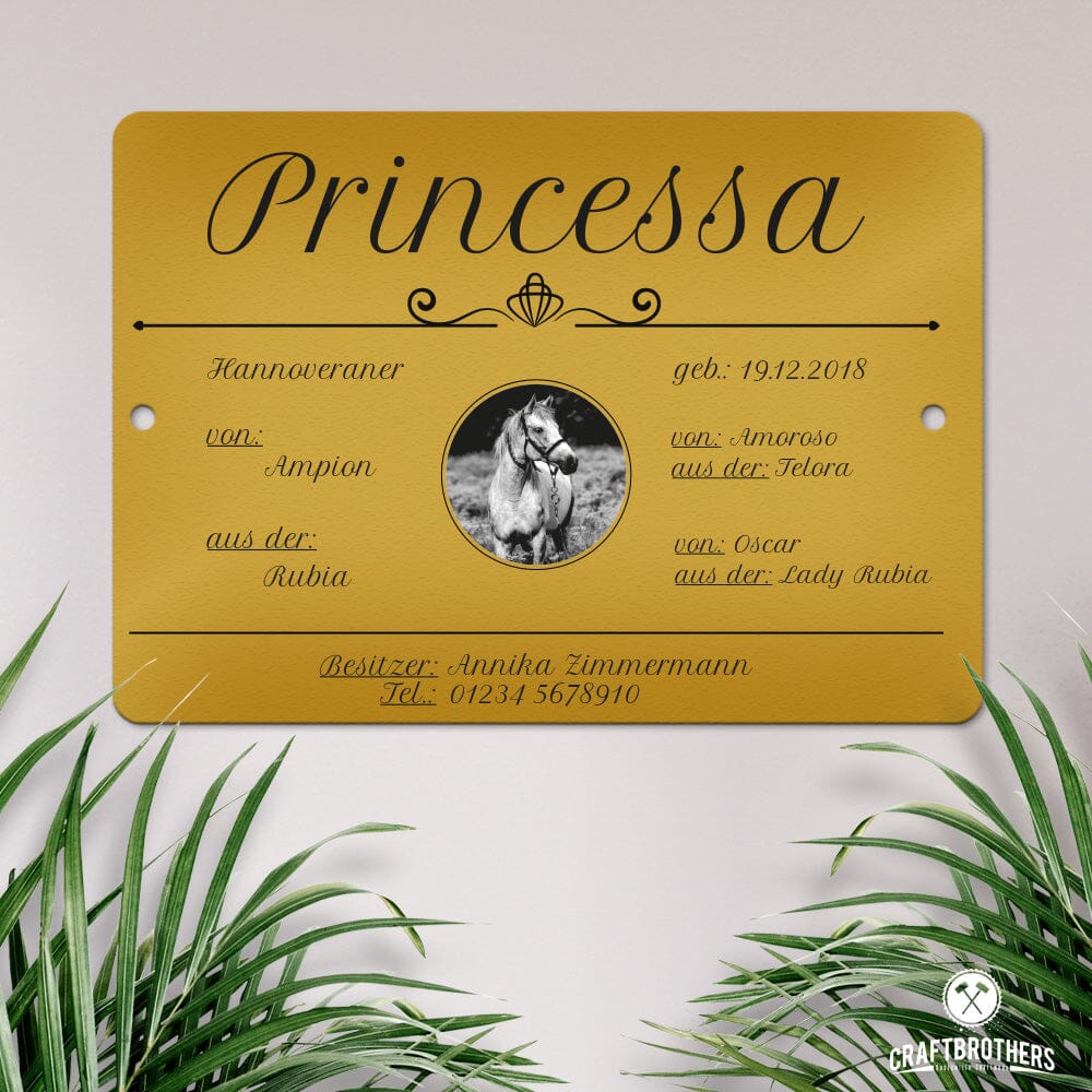 Boxenschild für Pferde Princessa Craftbrothers 