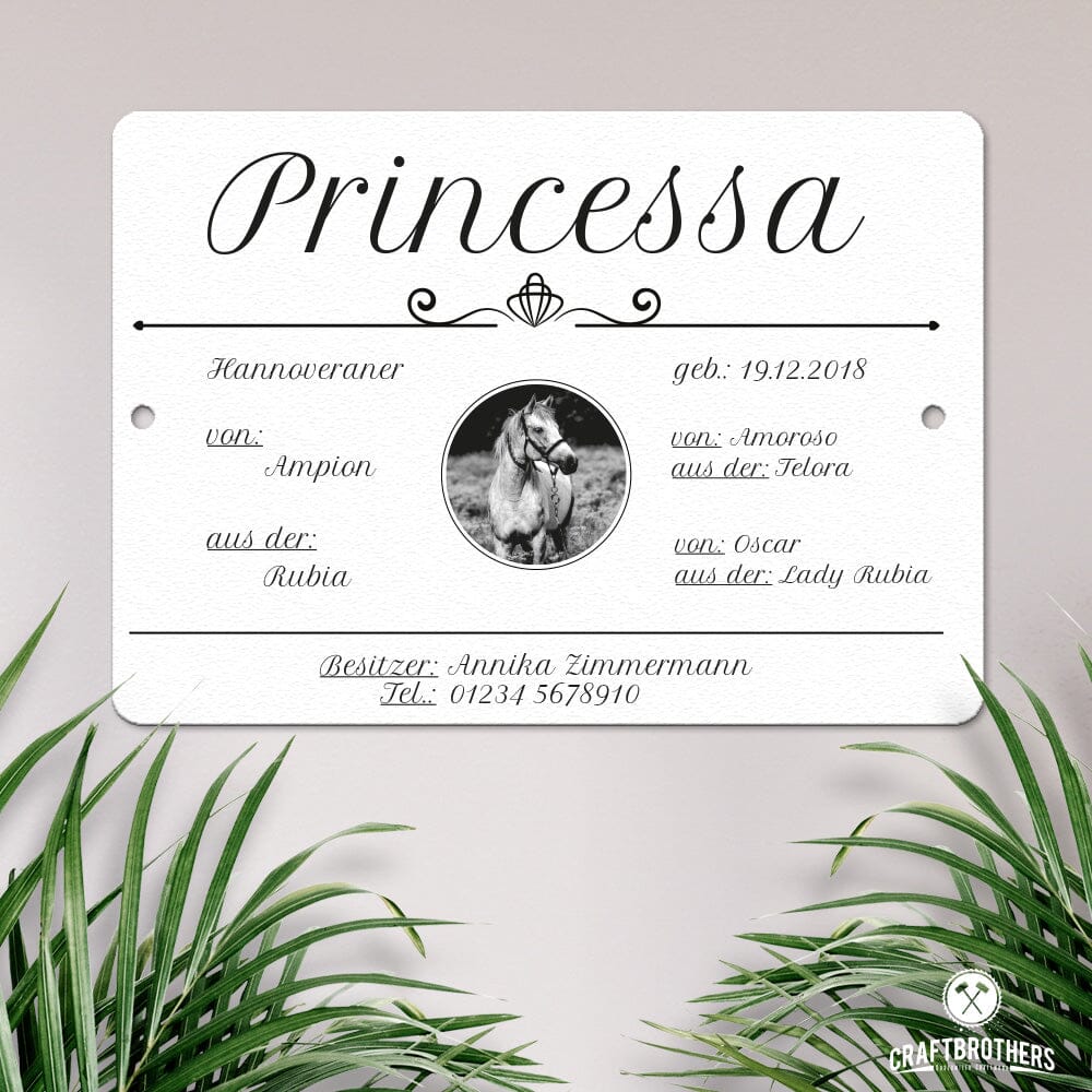 Boxenschild für Pferde Princessa Craftbrothers 