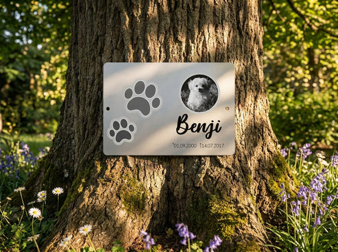 Im Garten am Lieblingsbaum