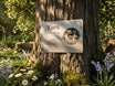 Im Garten am Lieblingsbaum