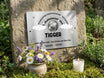 Am Grab mit Blumen