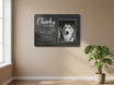 An der Wand mit Pflanze