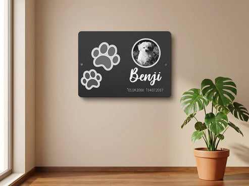 An der Wand mit Pflanze