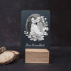 Little Message - Eukalyptus "Dein Wunschtext" Craftbrothers 